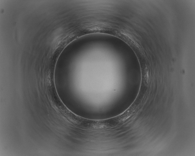 X0000073700547200608171115