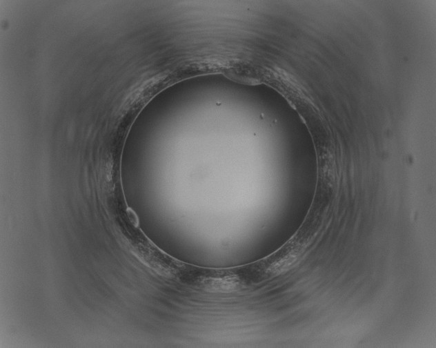 X0000073700548200608171116