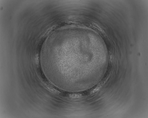 X0000073700549200608171116