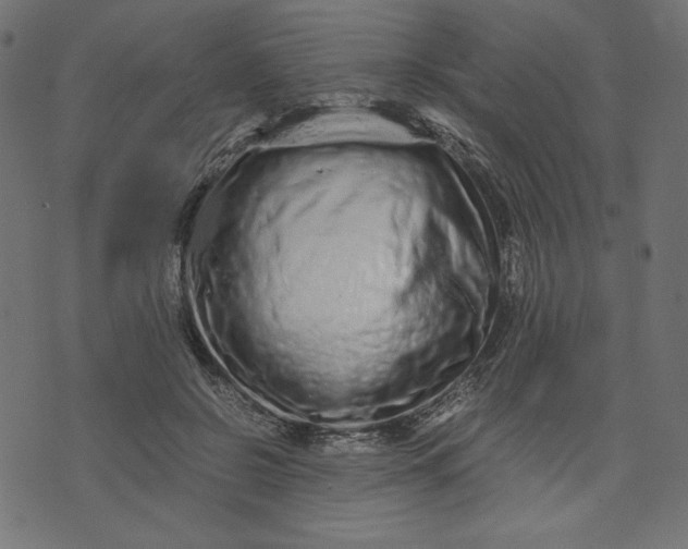 X0000073700550200608171116