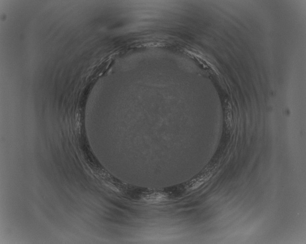 X0000073700551200608171116