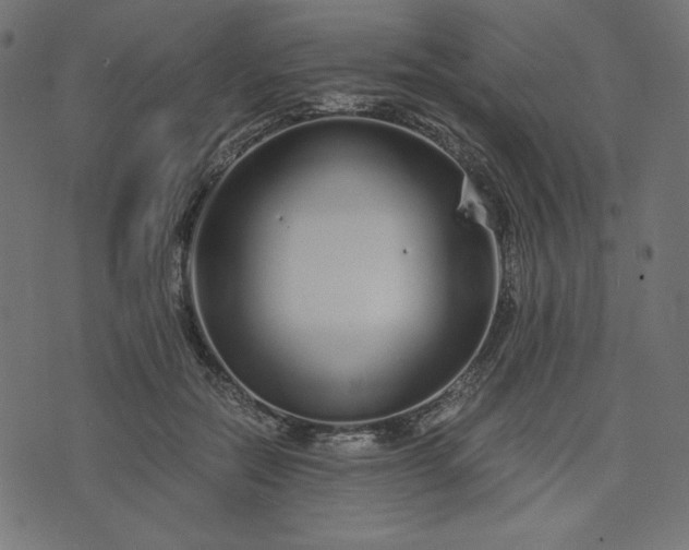 X0000073700554200608171116