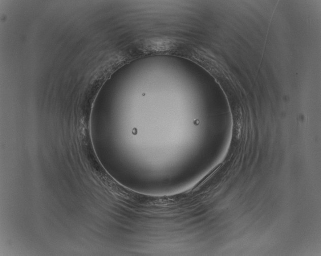 X0000073700555200608171116