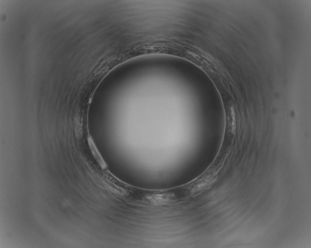 X0000073700558200608171116