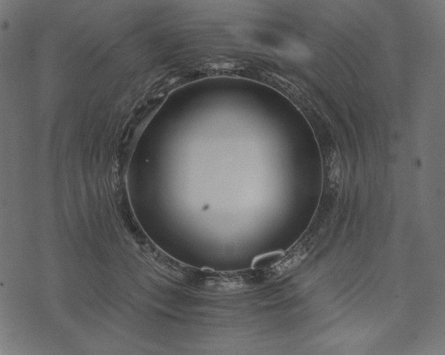 X0000073700559200608171116