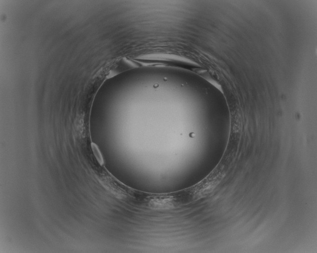 X0000073700560200608171116