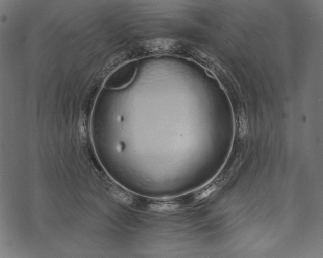 X0000073700561200608171116