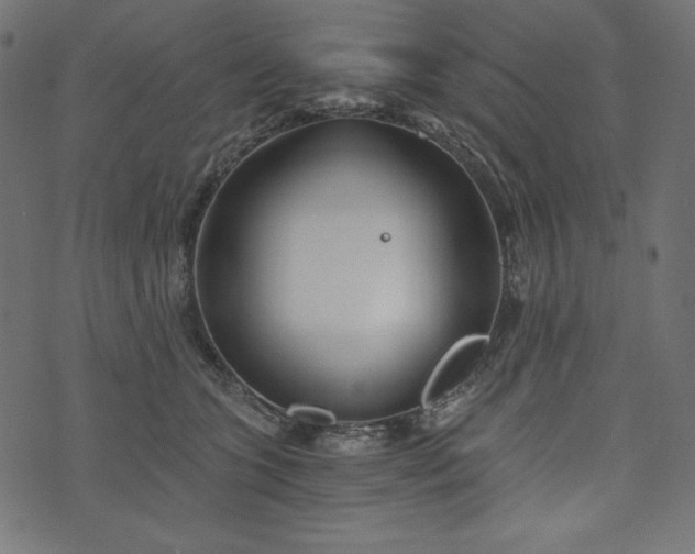 X0000073700563200608171116