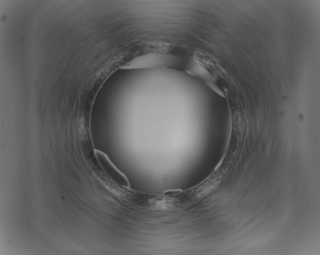 X0000073700564200608171116