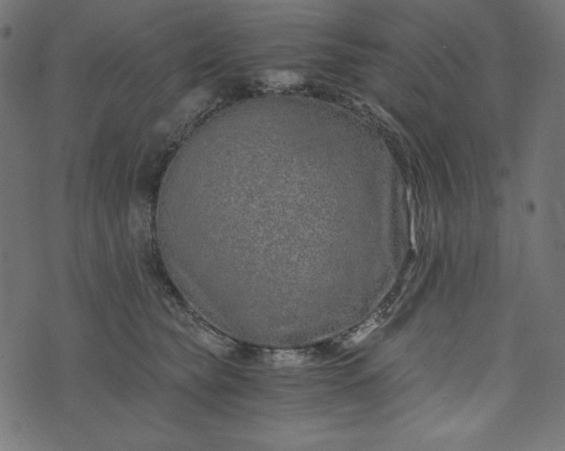 X0000073700565200608171116