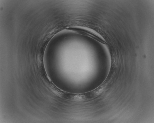 X0000073700566200608171116