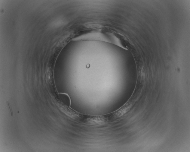 X0000073700567200608171116