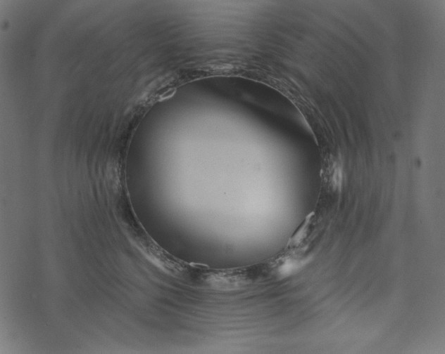 X0000073700568200608171116