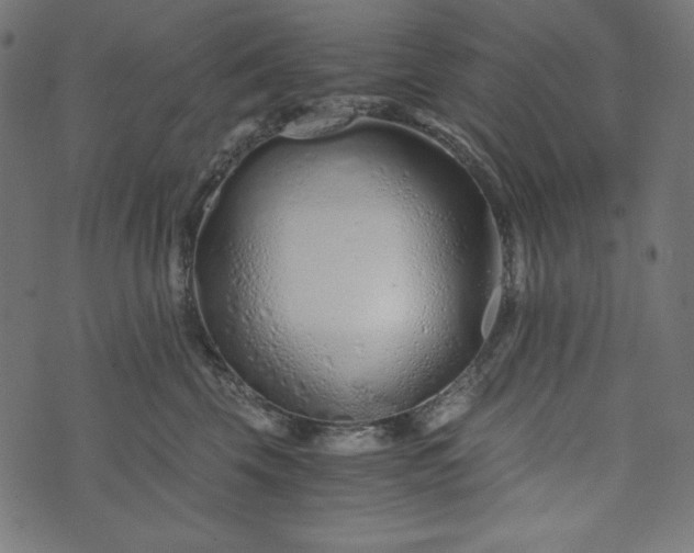 X0000073700569200608171116