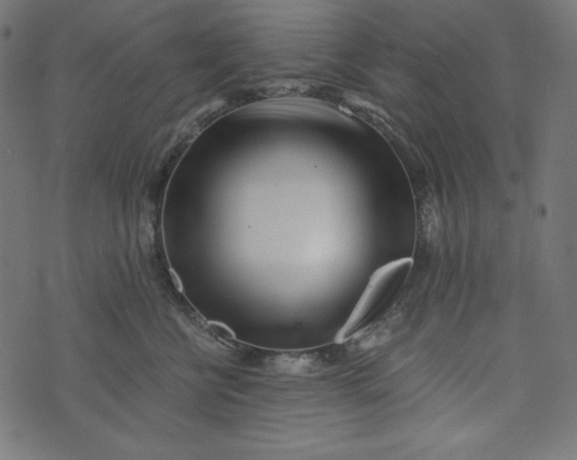 X0000073700570200608171116