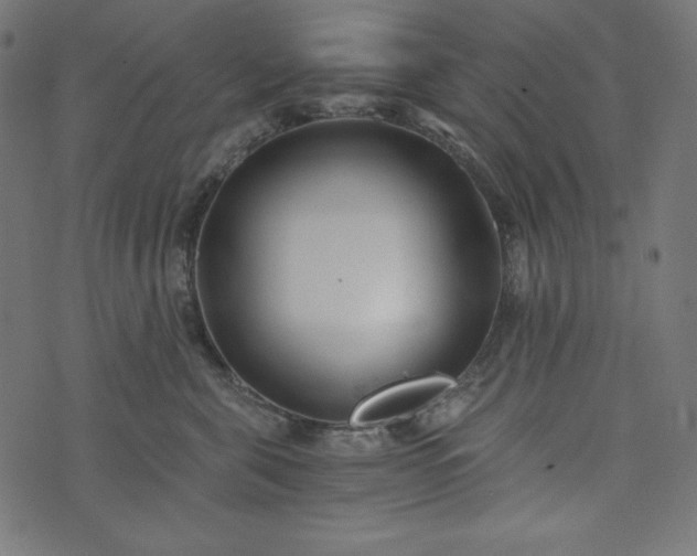 X0000073700571200608171116