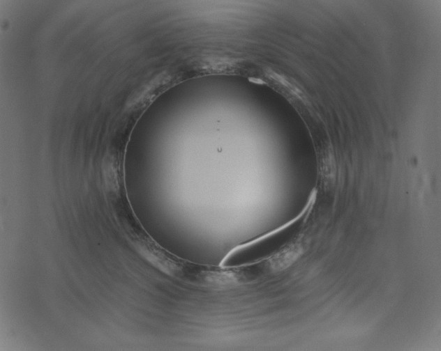 X0000073700572200608171116