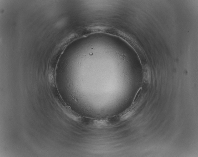 X0000073700573200608171116