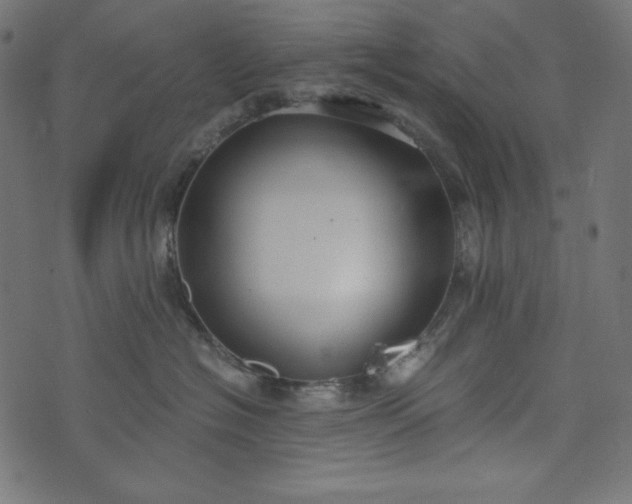 X0000073700574200608171116