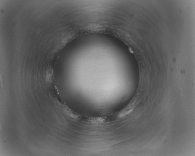 X0000073700576200608171116