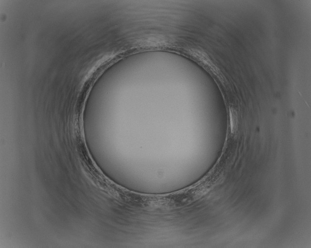 X0000073700579200608171115