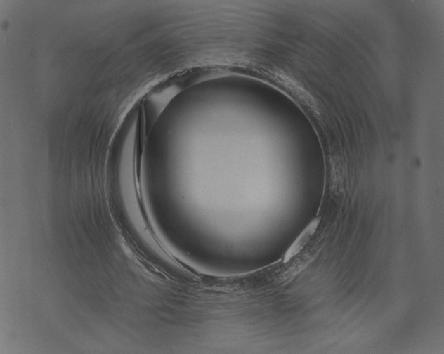 X0000073700580200608171115