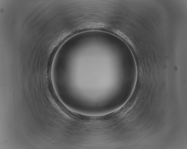 X0000073700581200608171115