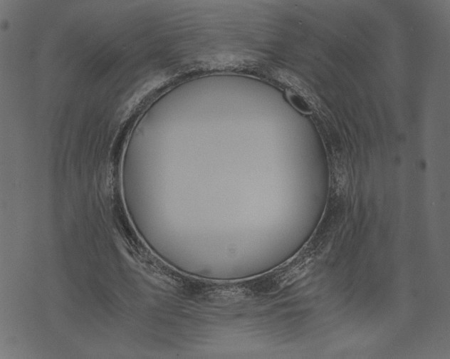 X0000073700583200608171115