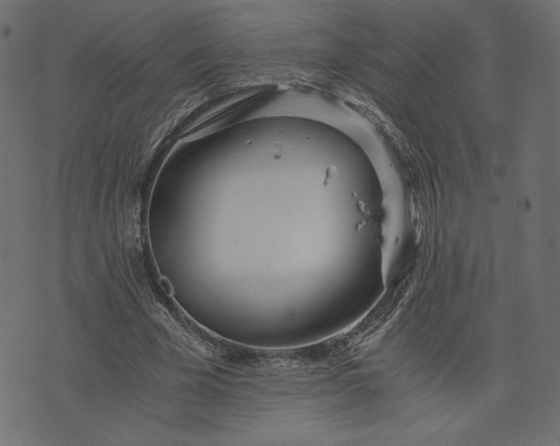 X0000073700585200608171115