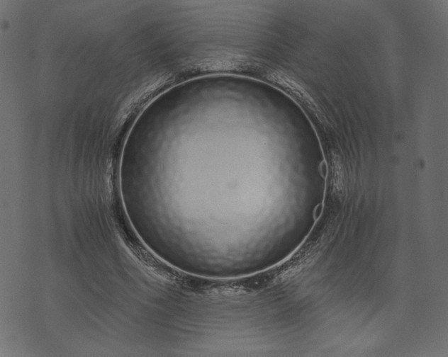 X0000073700586200608171115