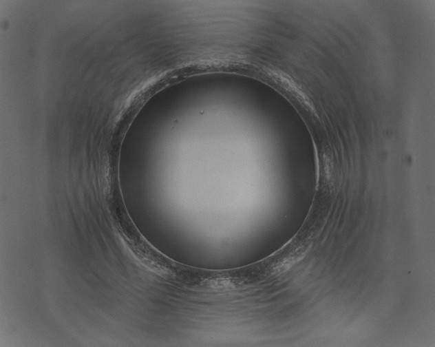 X0000073700588200608171115