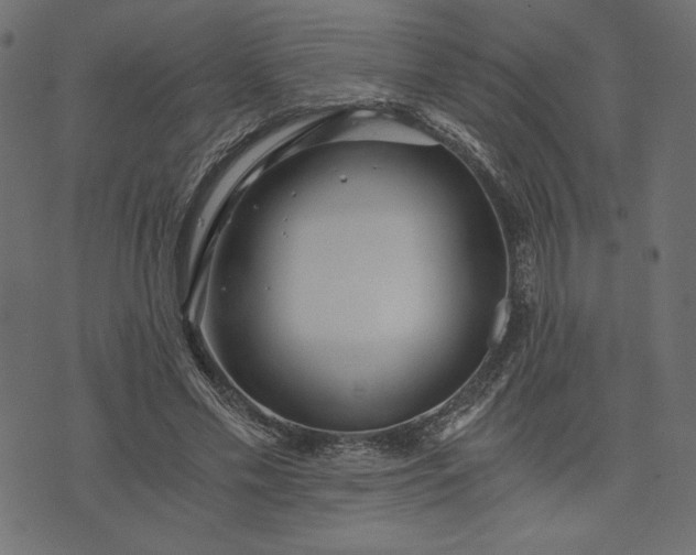 X0000073700589200608171115