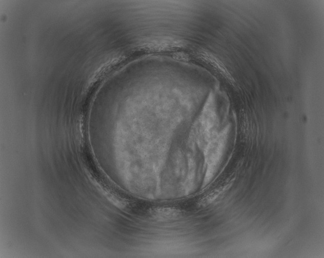 X0000073700590200608171115