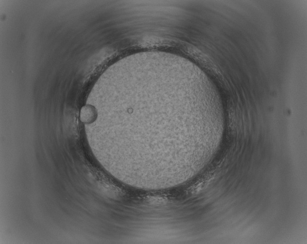 X0000073700592200608171115