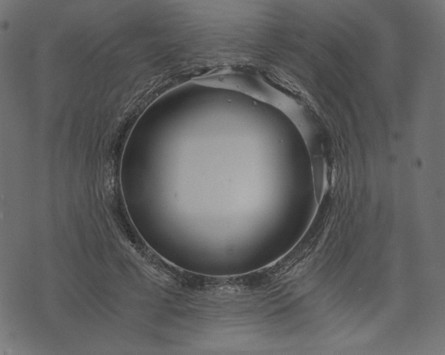 X0000073700593200608171115