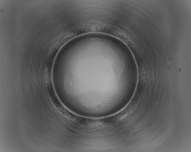 X0000073700594200608171115