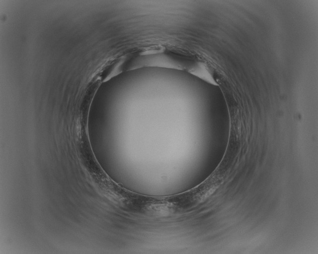 X0000073700595200608171115