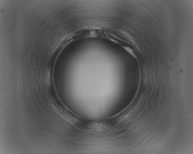 X0000073700596200608171115