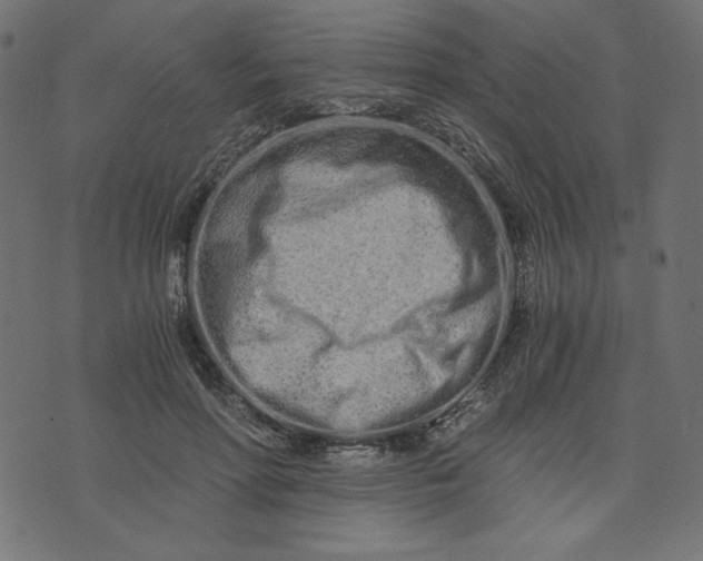 X0000073700598200608171115