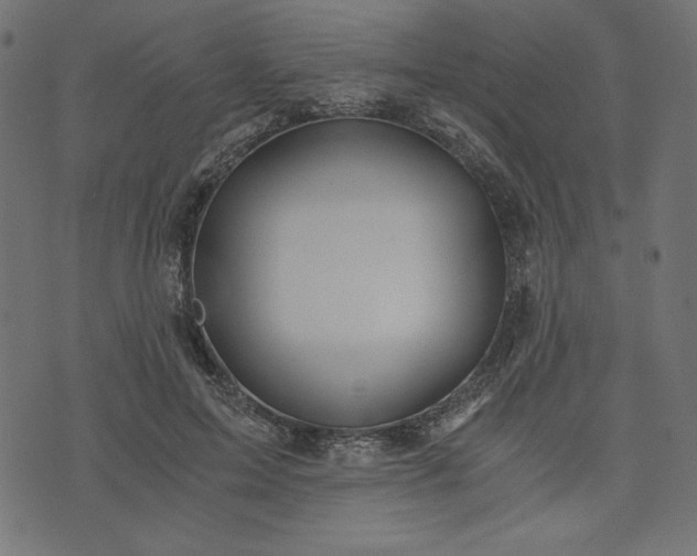 X0000073700599200608171115