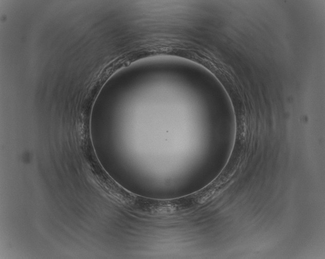 X0000073700600200608171115