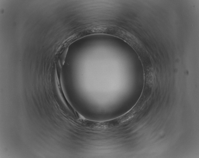 X0000073700604200608171115