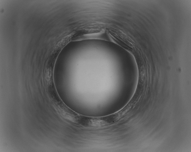 X0000073700605200608171115