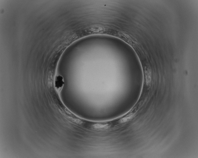 X0000073700606200608171115