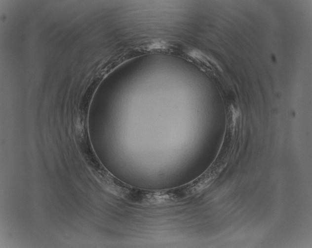 X0000073700607200608171115