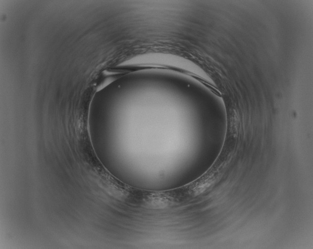 X0000073700608200608171115