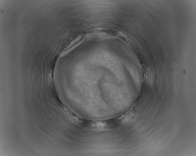 X0000073700610200608171115