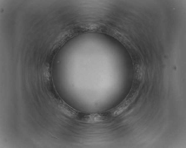 X0000073700612200608171115