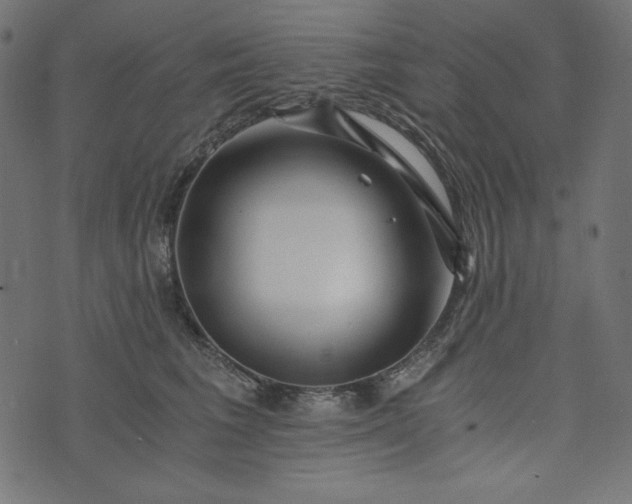 X0000073700613200608171115