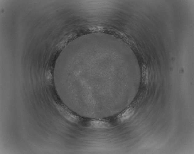 X0000073700614200608171115